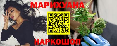 сатива Гай