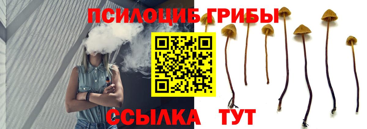 Псилоцибиновые грибы мицелий  Вход с VPN  Галлюциногенные грибы Psilocybine cubensis  Ирбит 